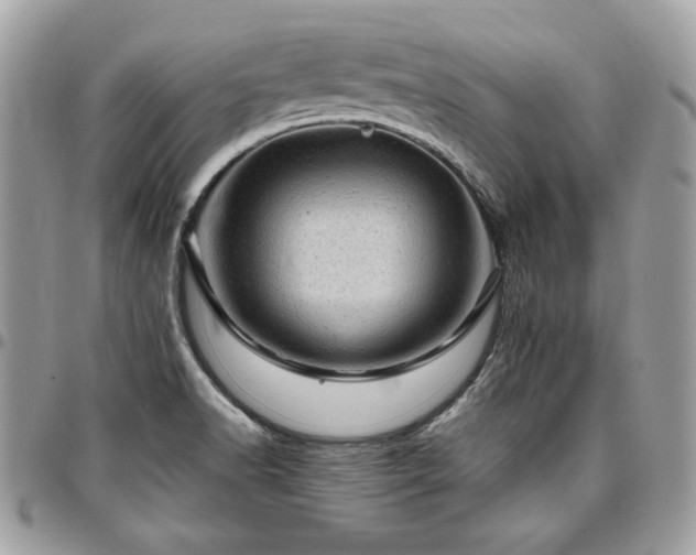 X0000096941518200802081153