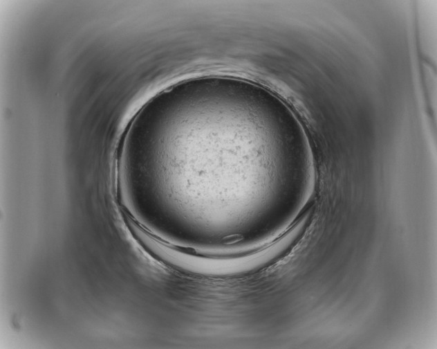 X0000096941520200802081153