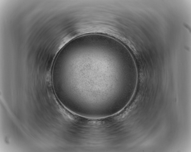 X0000096941521200802081153