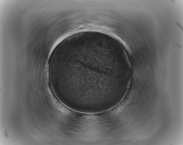 X0000096941522200802081153