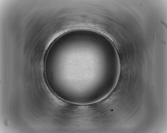 X0000096941523200802081153