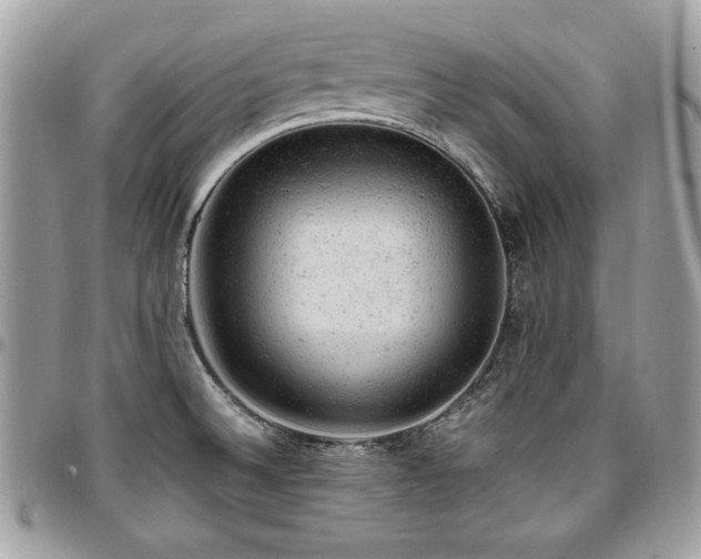 X0000096941524200802081154