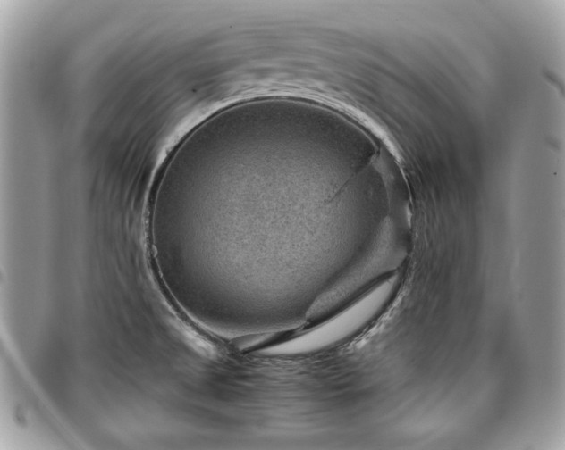 X0000096941525200802081154