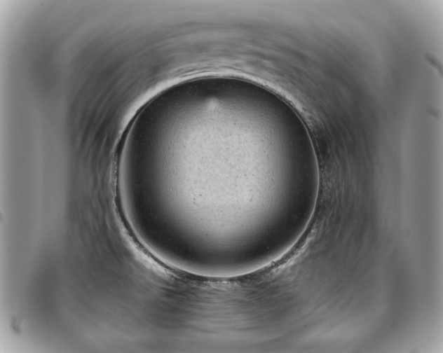 X0000096941526200802081154