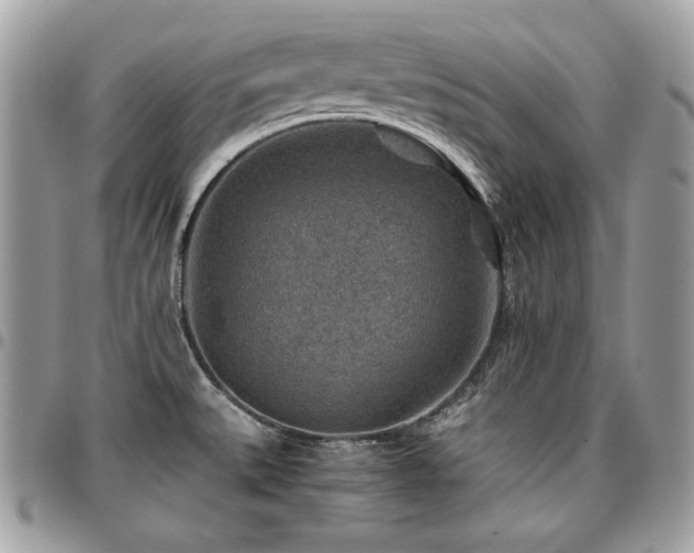 X0000096941527200802081154