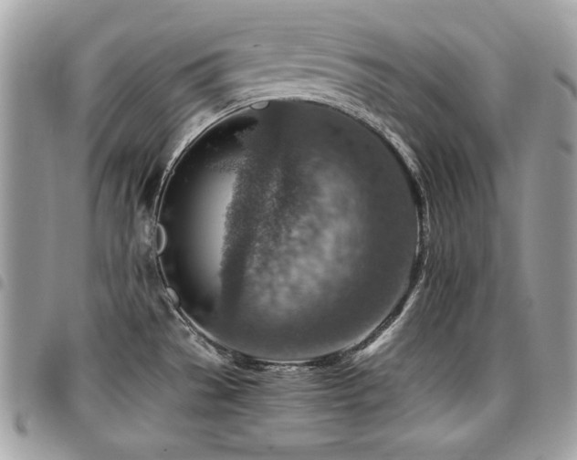 X0000096941529200802081154