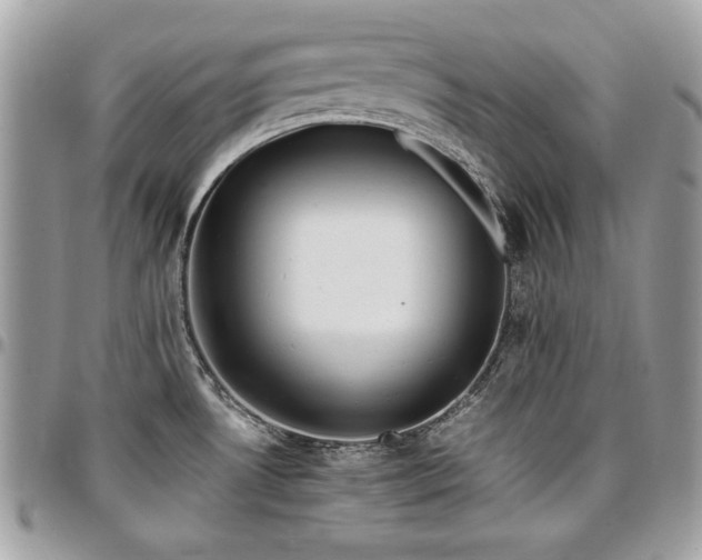 X0000096941530200802081154
