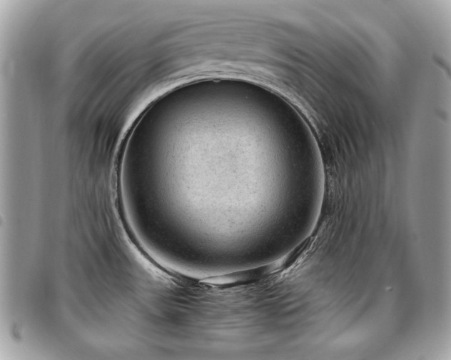X0000096941531200802081154