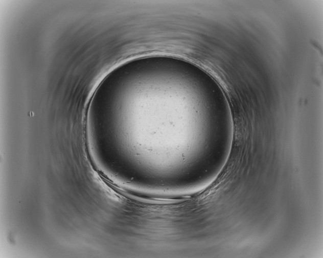 X0000096941532200802081154