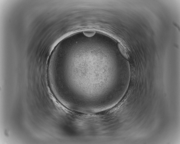X0000096941534200802081154