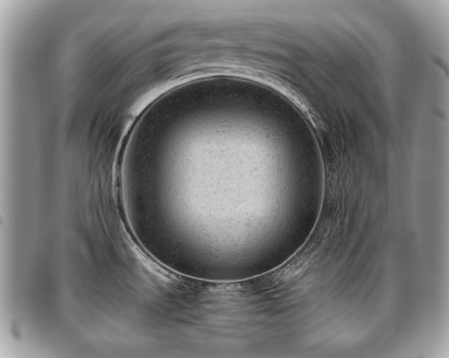 X0000096941535200802081154