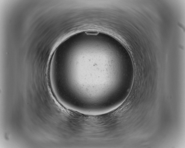 X0000096941536200802081154