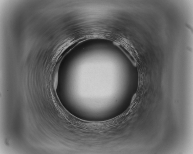 X0000096940001200802151225