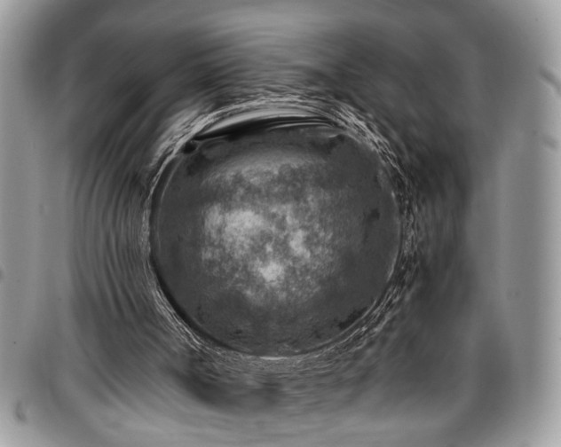 X0000096940002200802151225