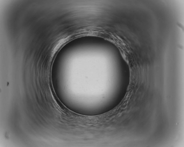 X0000096940003200802151225