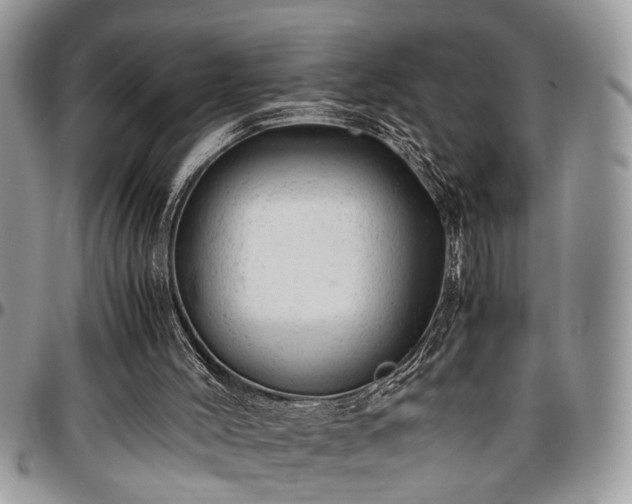 X0000096940004200802151225