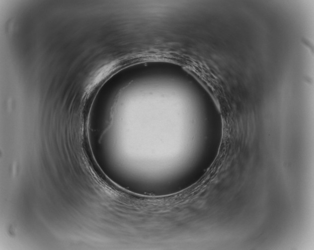 X0000096940005200802151225