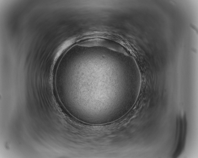 X0000096940006200802151225