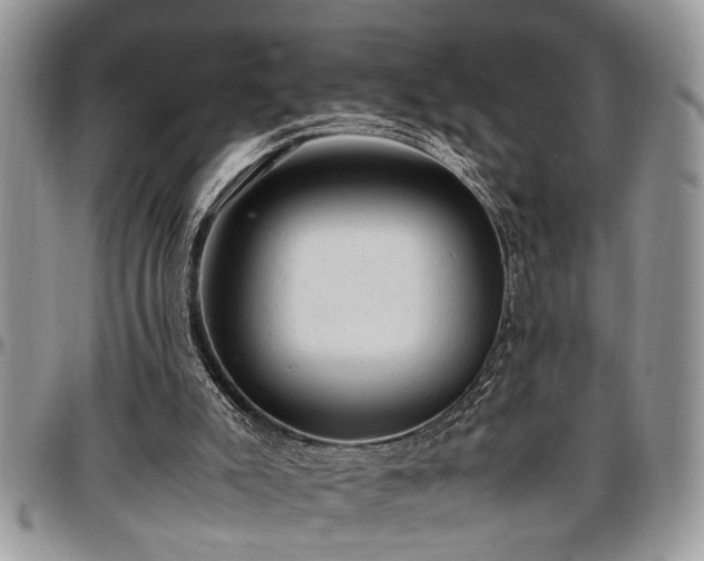 X0000096940007200802151225