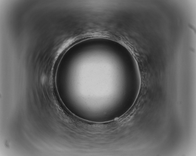 X0000096940008200802151225