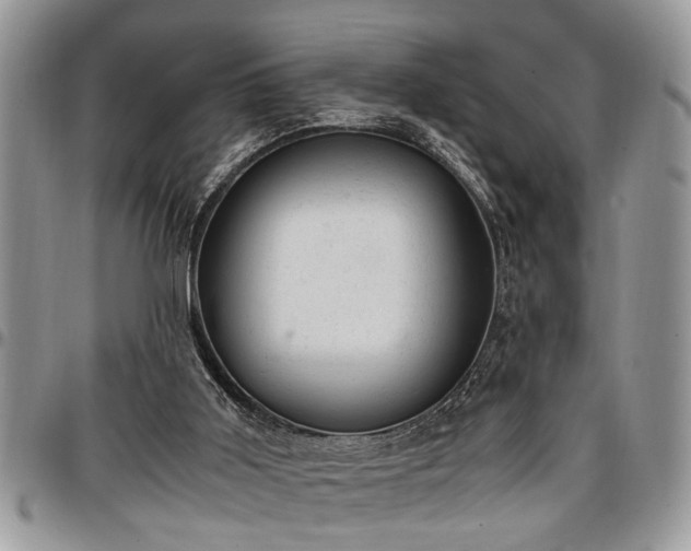 X0000096940011200802151225