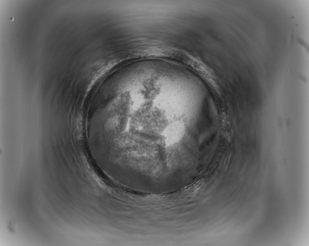 X0000096940012200802151225