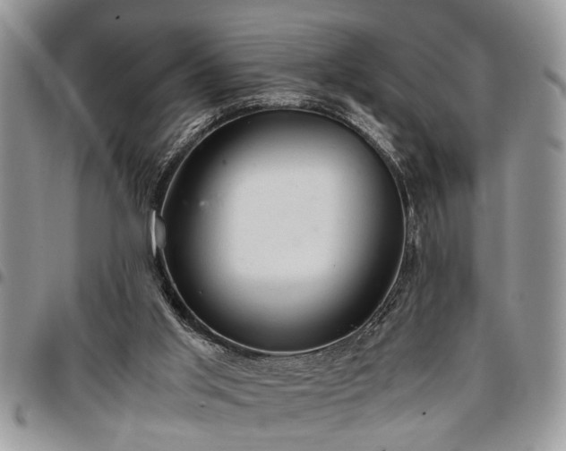 X0000096940013200802151225