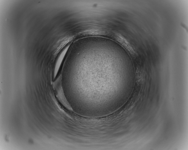 X0000096940014200802151225