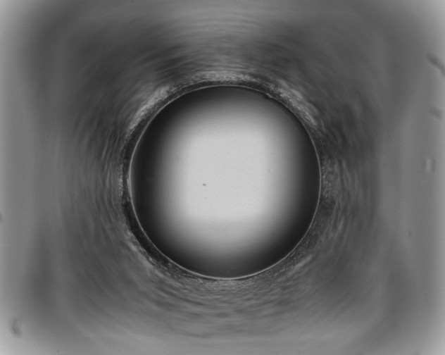 X0000096940015200802151225