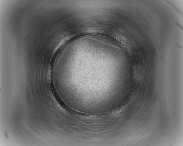 X0000096940016200802151225