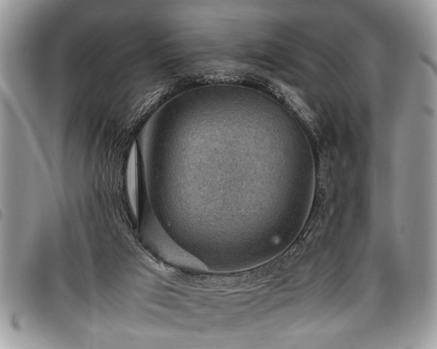 X0000096940017200802151225