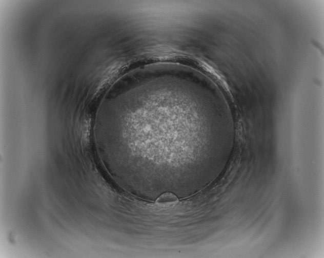 X0000096940018200802151225