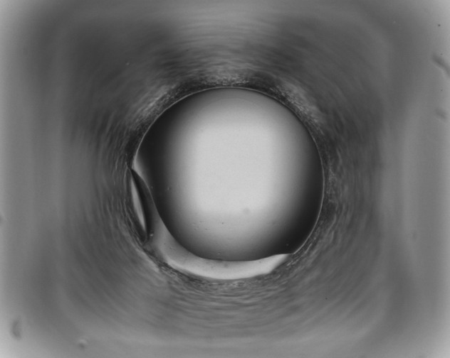 X0000096940021200802151225