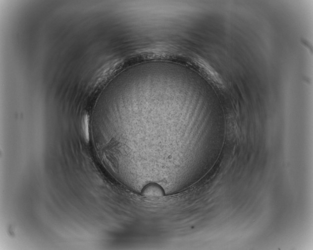 X0000096940022200802151225