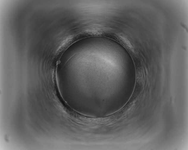 X0000096940023200802151225