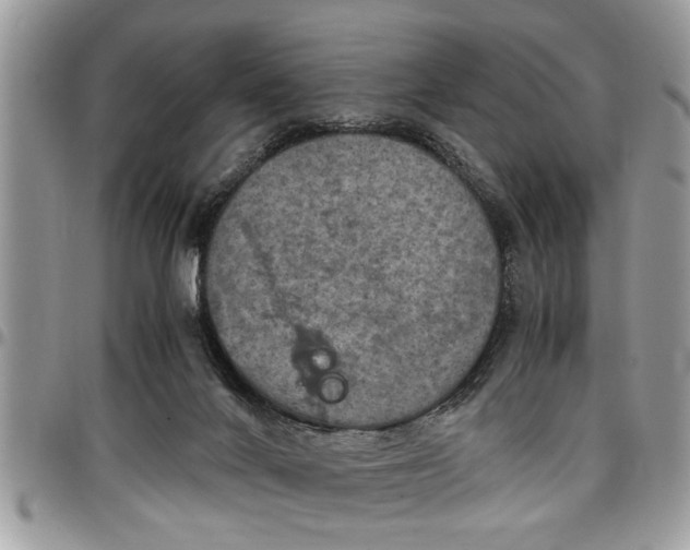 X0000096940024200802151225