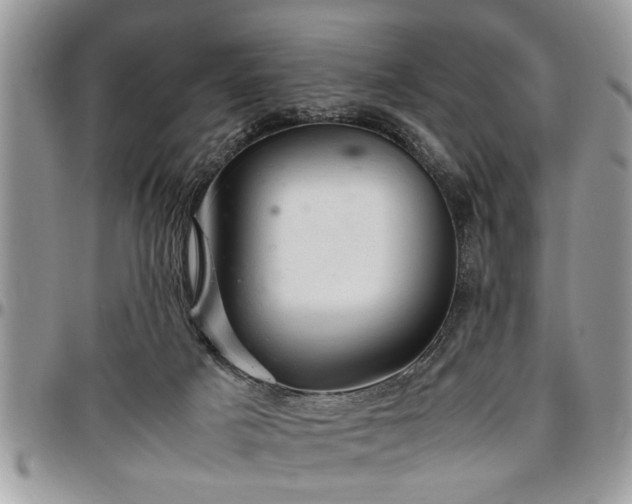 X0000096940025200802151225