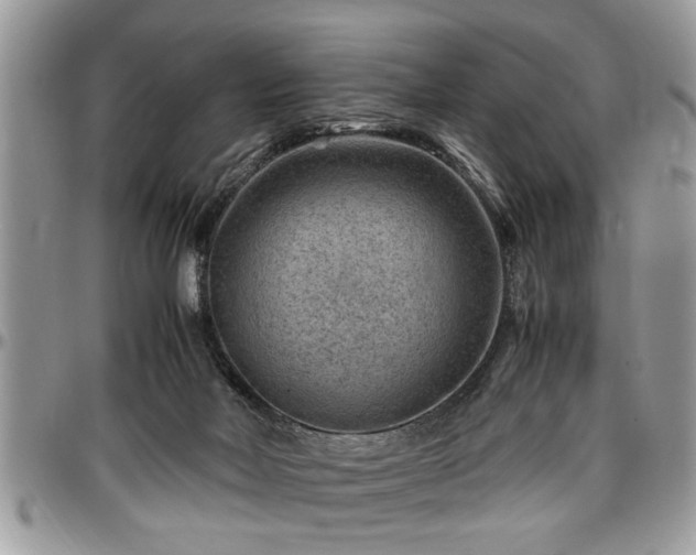 X0000096940026200802151225