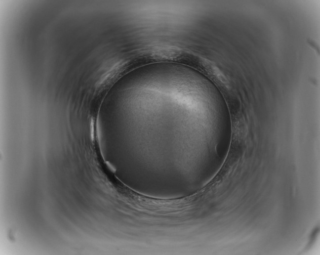 X0000096940027200802151225