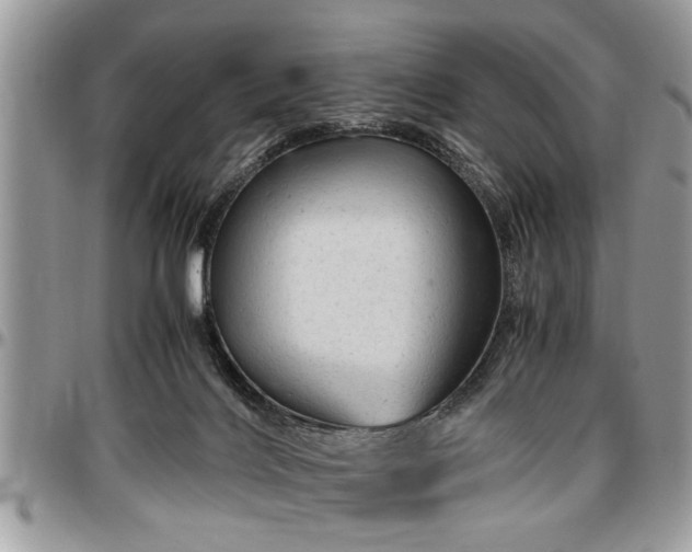 X0000096940028200802151224