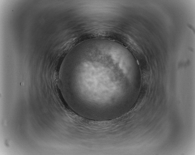 X0000096940029200802151224