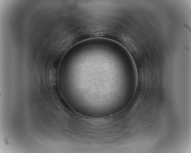 X0000096940030200802151224