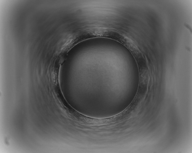 X0000096940031200802151224