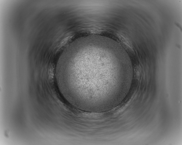 X0000096940032200802151224