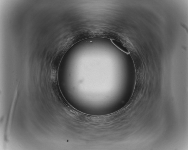 X0000096940033200802151224