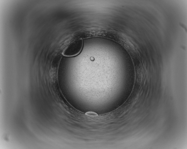 X0000096940034200802151224