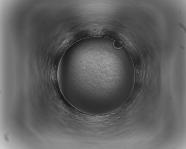 X0000096940035200802151224