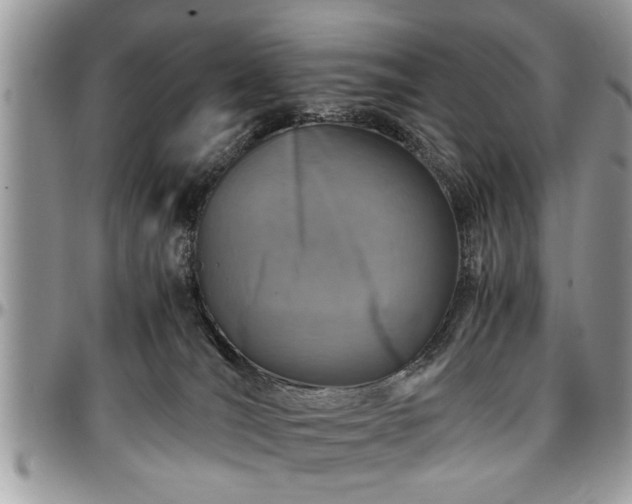 X0000096940036200802151224