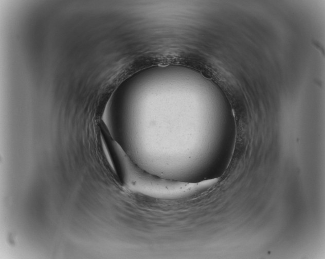 X0000096940037200802151224