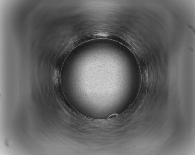 X0000096940038200802151224